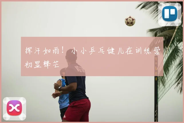 挥汗如雨！小小乒乓健儿在训练营初显锋芒