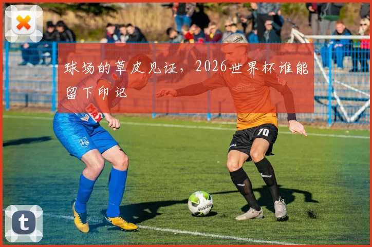 球场的草皮见证，2026世界杯谁能留下印记